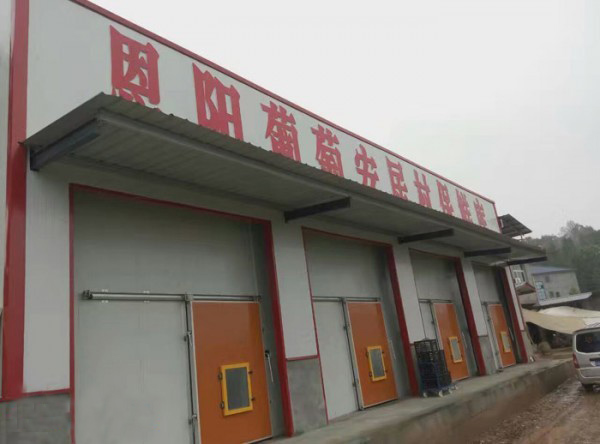 保鮮氣調(diào)冷庫