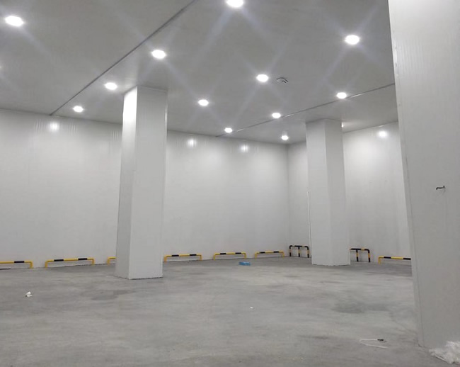 寧波建造1000平方冷庫(kù)要多少錢