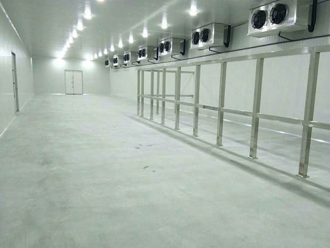 存放10噸板栗冷庫造價(jià)多少錢？