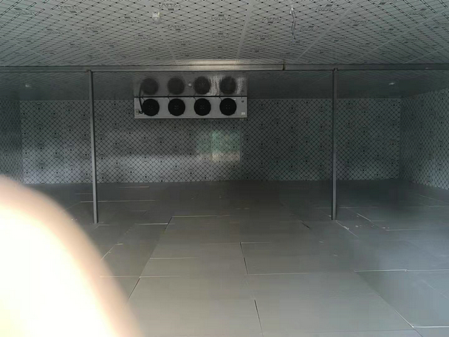 鮮花冷庫可行嗎？鮮花能不能放冷庫